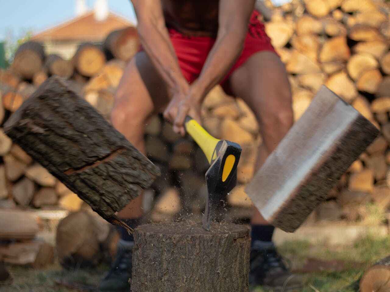 Tree Root Removal in Cherry Hills Village, CO